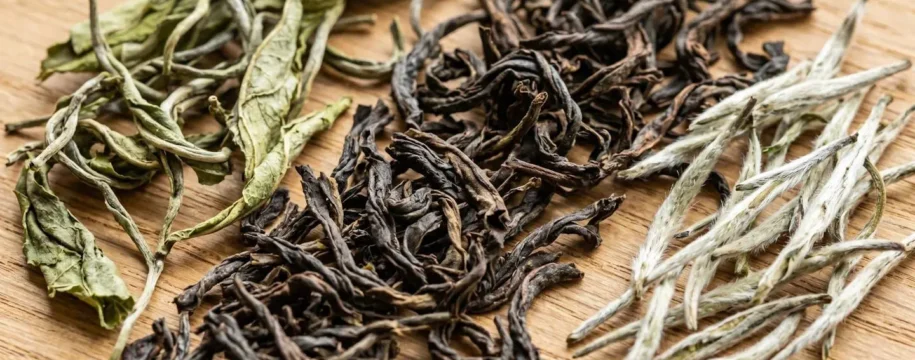 Assortiment de feuilles de thé biologique séchées de différentes couleurs disposées sur une surface en bois naturel clair avec lumière rasante